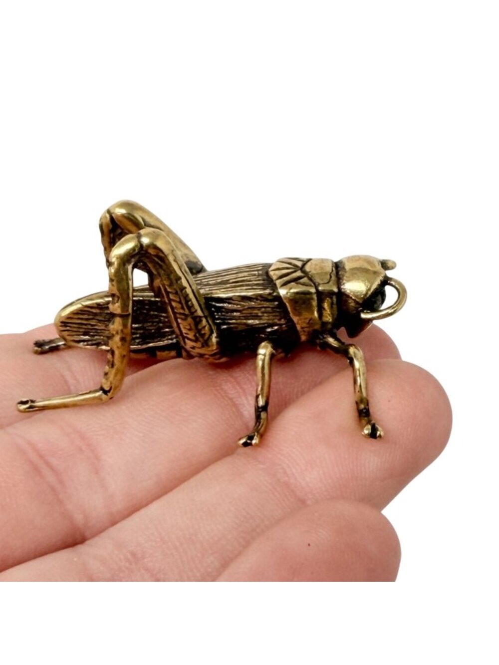 Miniature Brass Grasshopper Spirit Animal Luck Opportunity Prosperity‎ Talisman